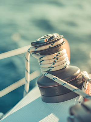 Lewmar Winches
